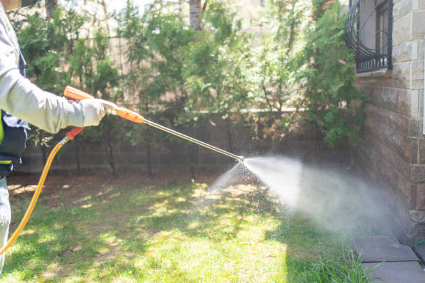 Professional Pest Control in Coopersville, MI